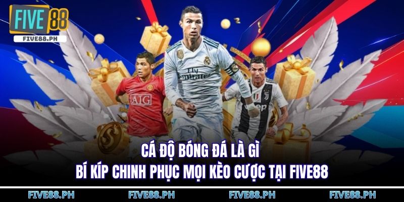 cá độ bóng đá là gì